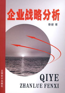 企业战略营销策划方案
